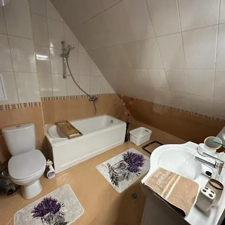 Panteli House * Aheloy